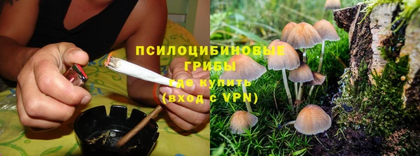 кокс Верея