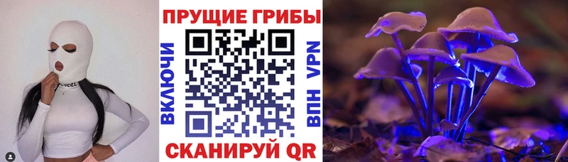 купить наркотик  Ноябрьск  Галлюциногенные грибы Psilocybe 