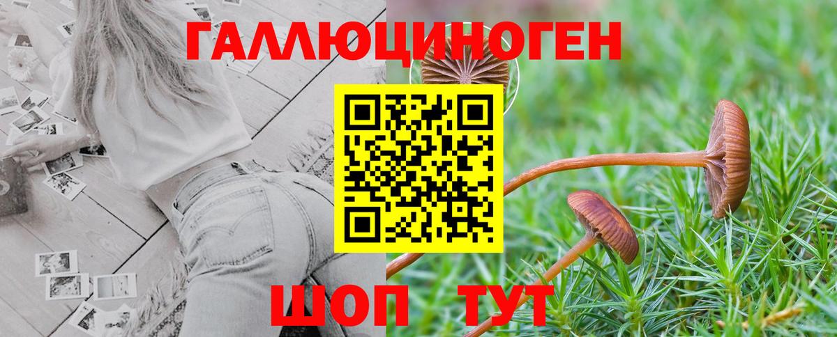 Галлюциногенные грибы MAGIC MUSHROOMS  Псилоцибиновые грибы мицелий  дарнет шоп  Ноябрьск  Вход с VPN 